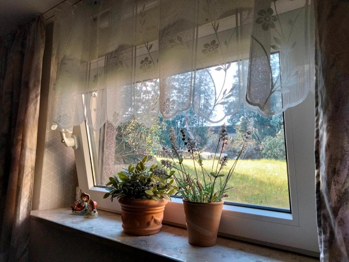 Ferienwohnung Coco Халтерн Екстериор снимка